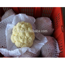 new crop cauliflower vegetable from China